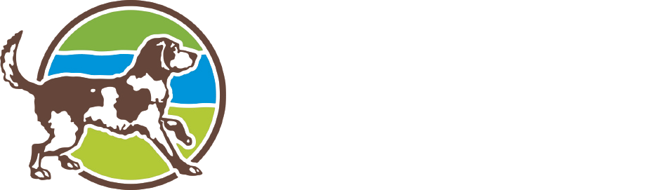 Zakupy z Psem